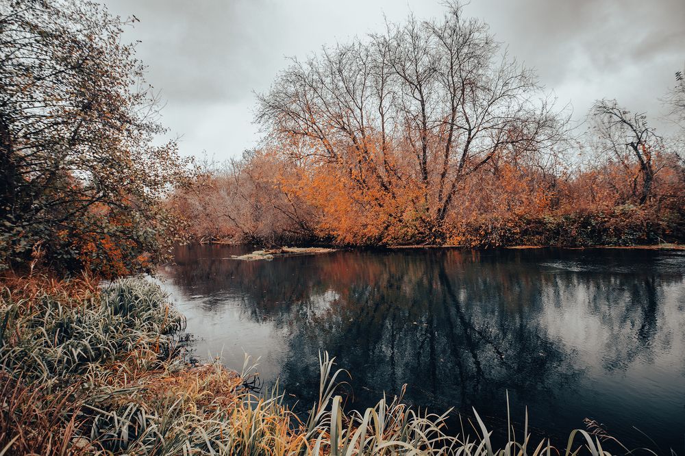 Photograph by Светлана Гущина