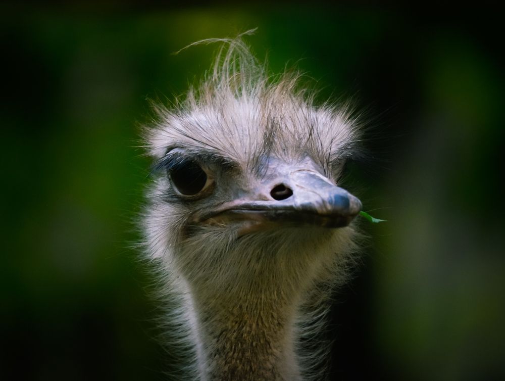 Photograph by Olga Mendosa