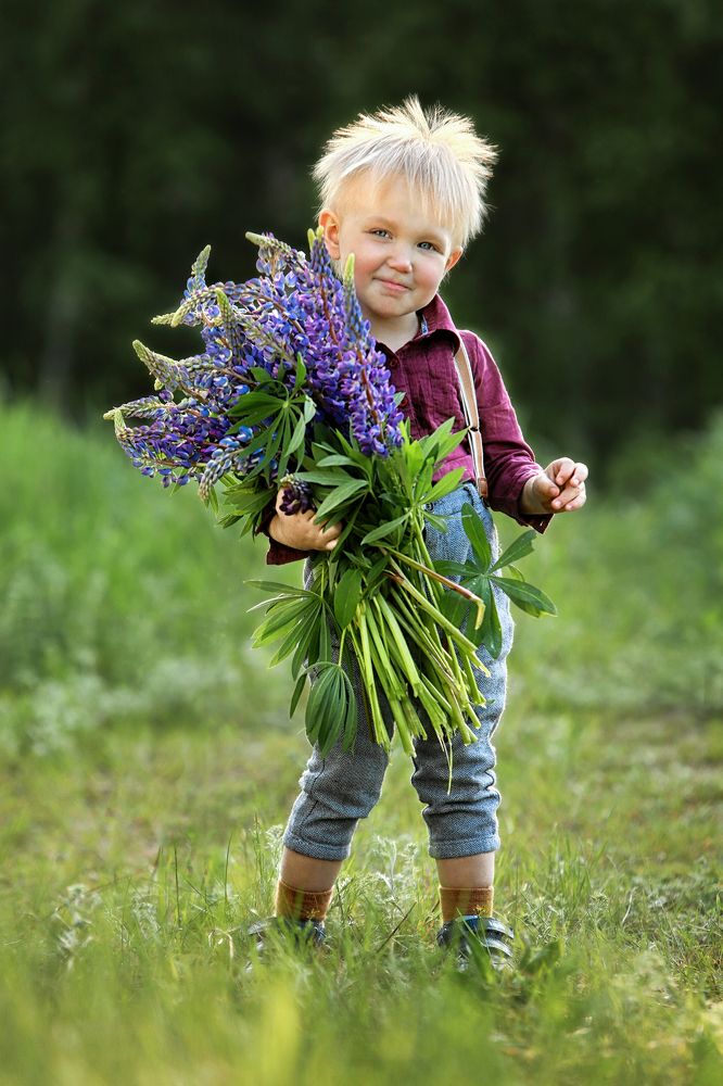Мальчик с люпинами