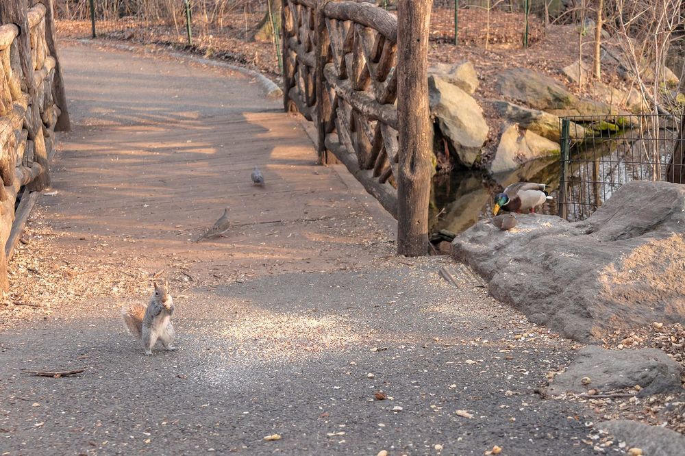 Photograph by Кермен Манджиева