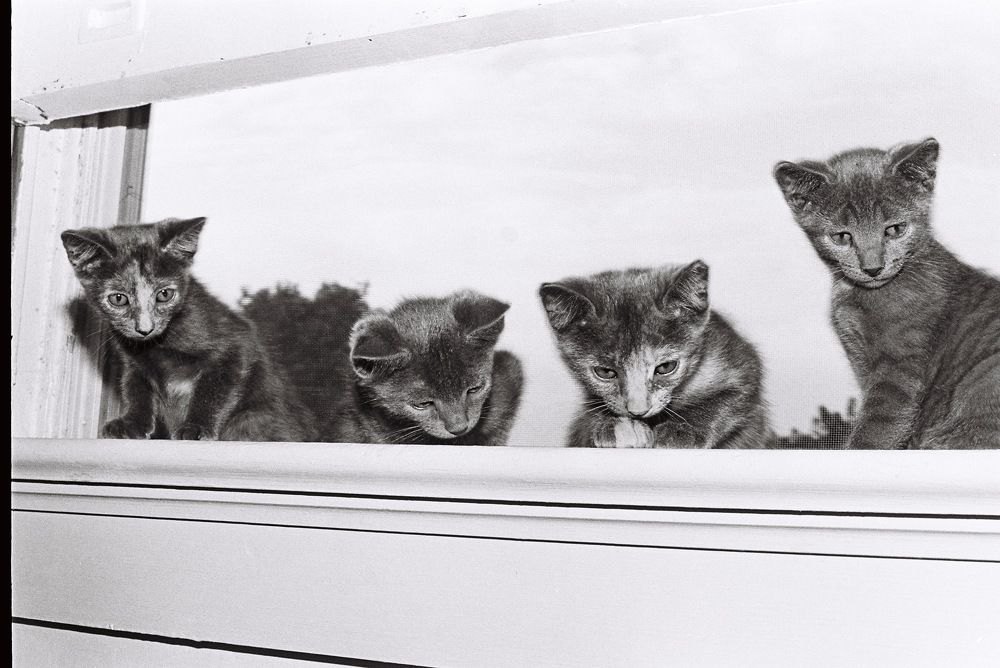 Photograph by Paul Bowers