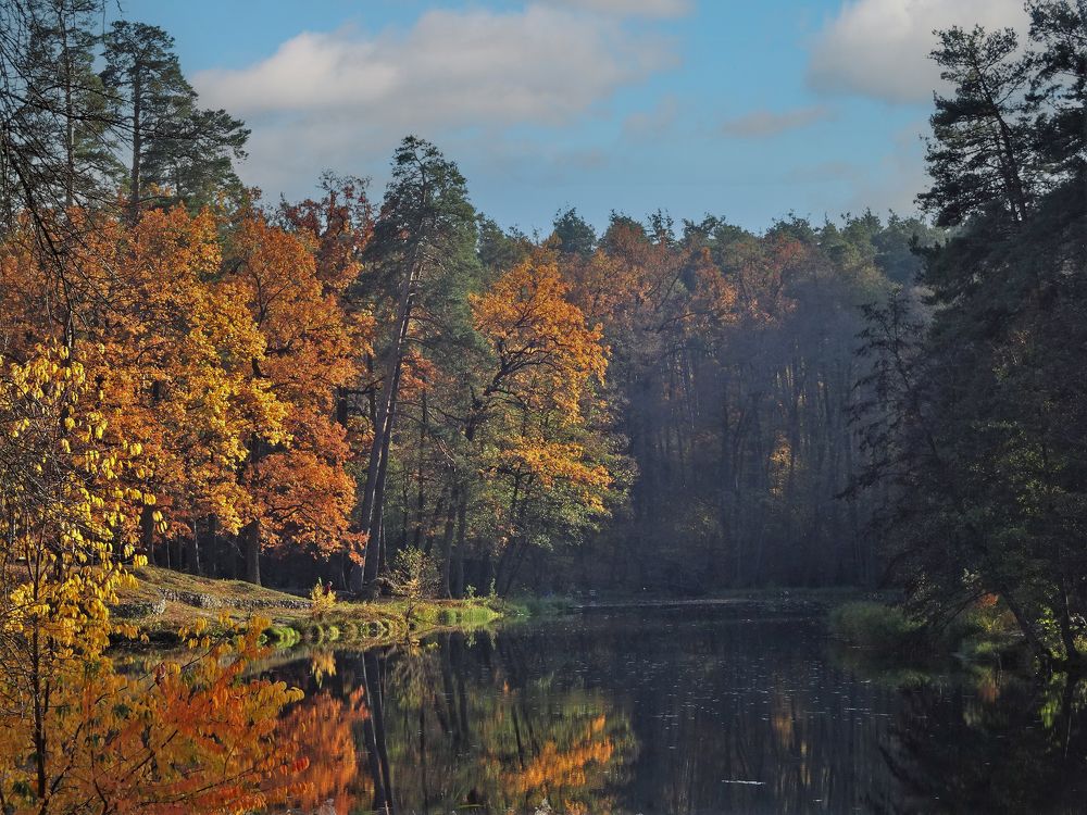 Photograph by Мила Милая