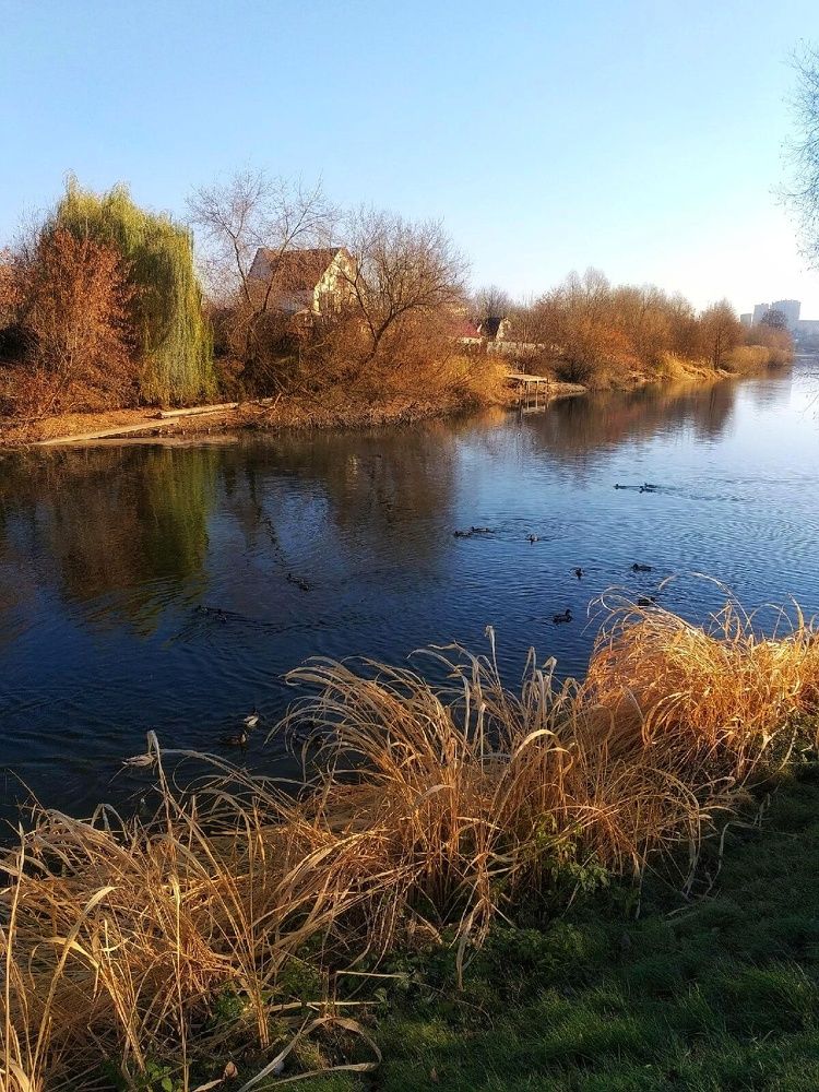 Фотография автора Елена Доянова