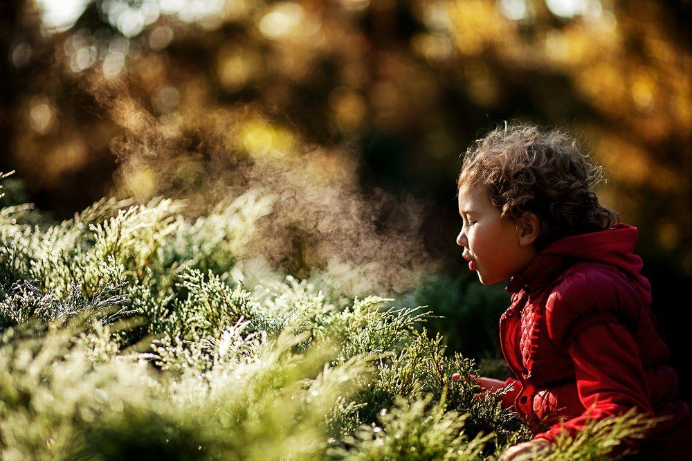 Дыхание утра.