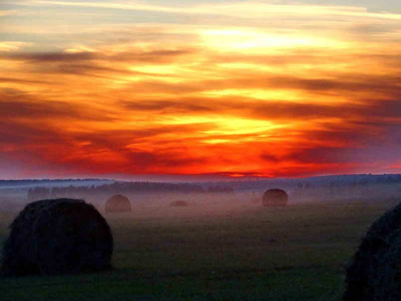 Лариса, Russia