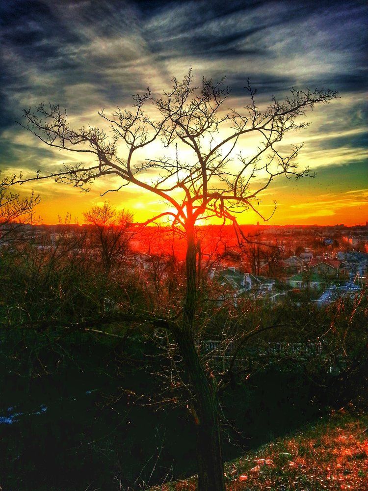 Evening