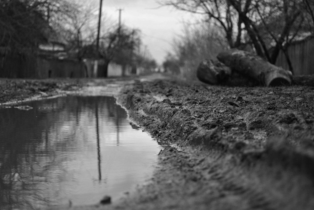 Photograph by Анна