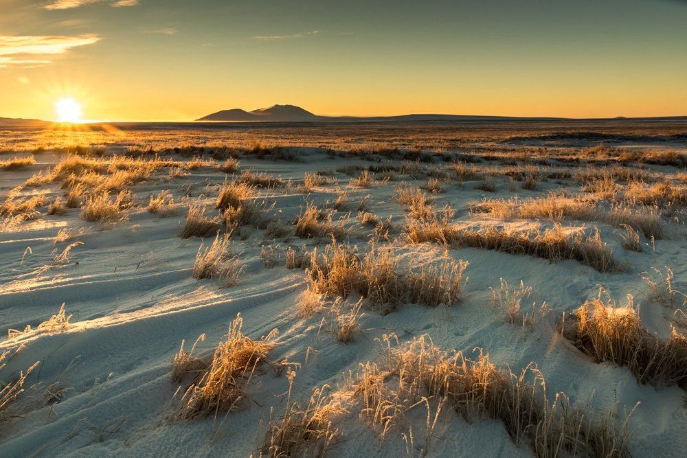 Photograph by TAARUS