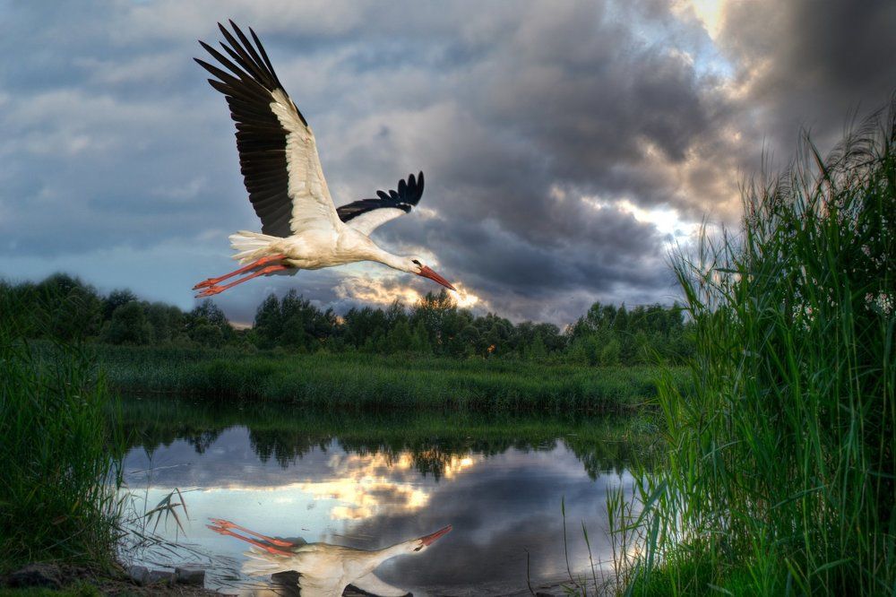 Фотография автора Юлия Кранина