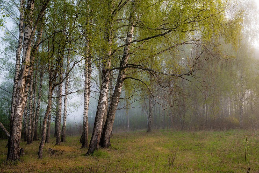 Весенняя свежесть!