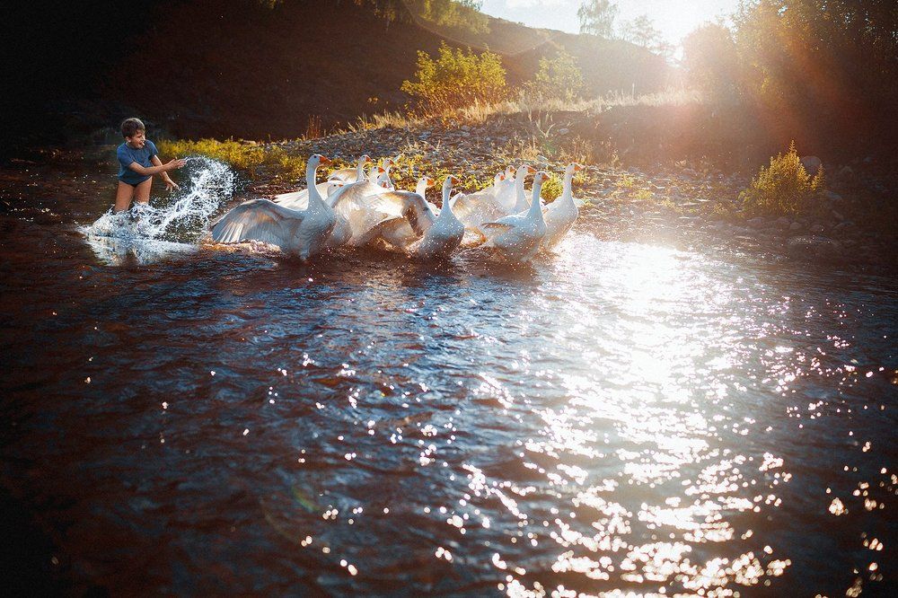 Лето в деревне