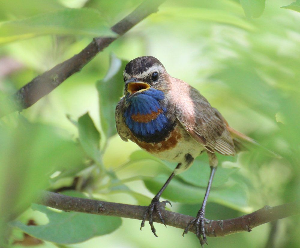 Предупреждение