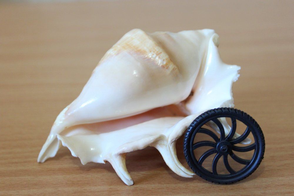 Улитка. Механика