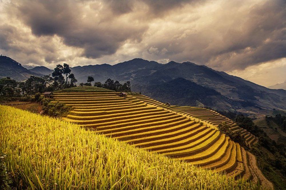 Mu Cang Chai, Vietnam