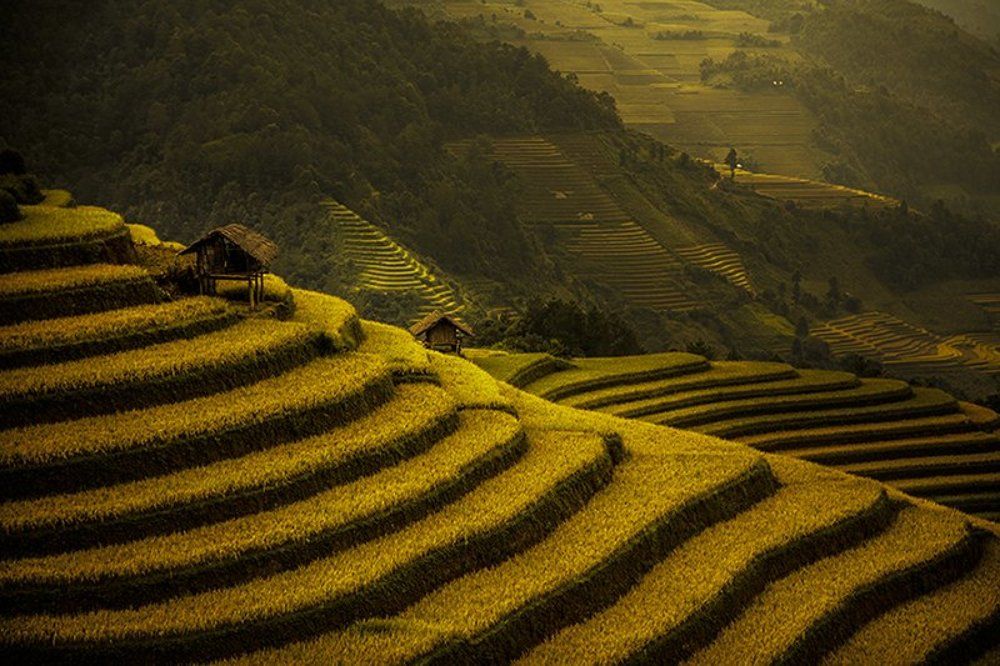 Mu Cang Chai, Vietnam
