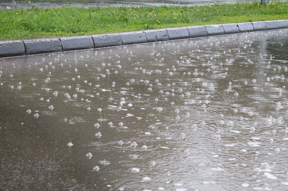 ЛЕТНИЙ ДОЖДЬ