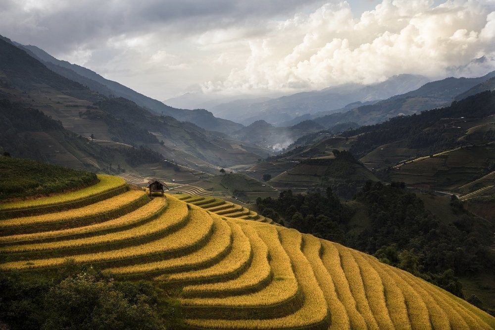 Фотография автора Dang Thanh Son