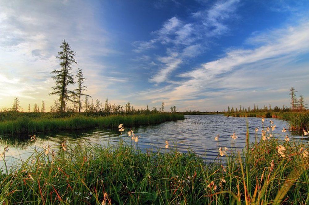 жаркий вечер заполярья