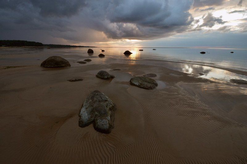Nikolai Kuvshinov, Russia