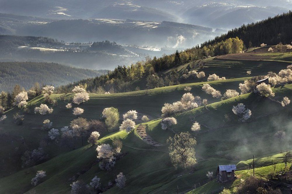 Рождение дня