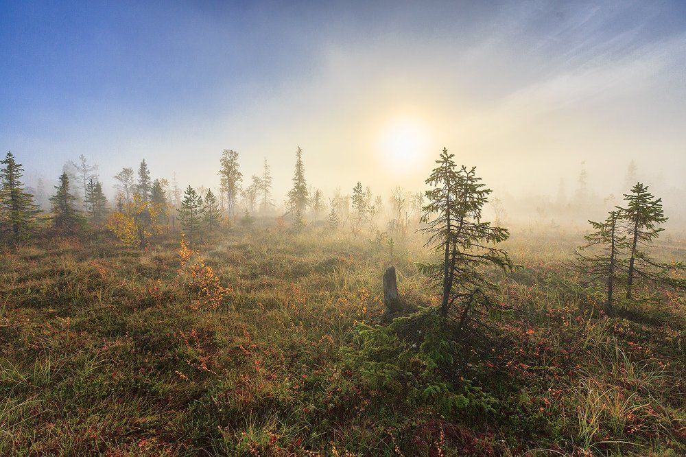 Осенний туман