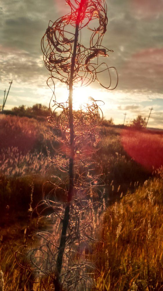 Photograph by Никита