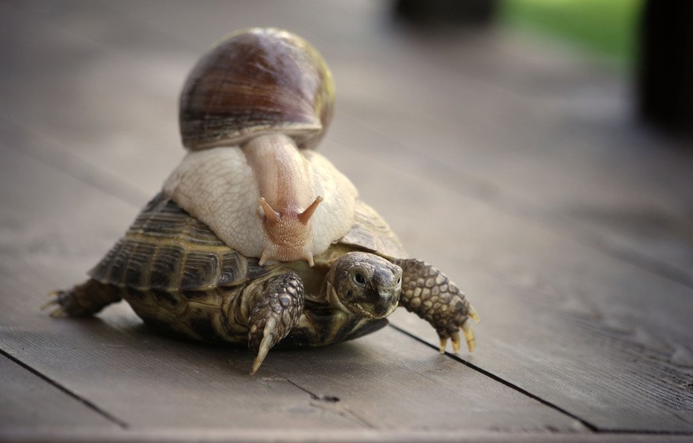 Тише едешь...