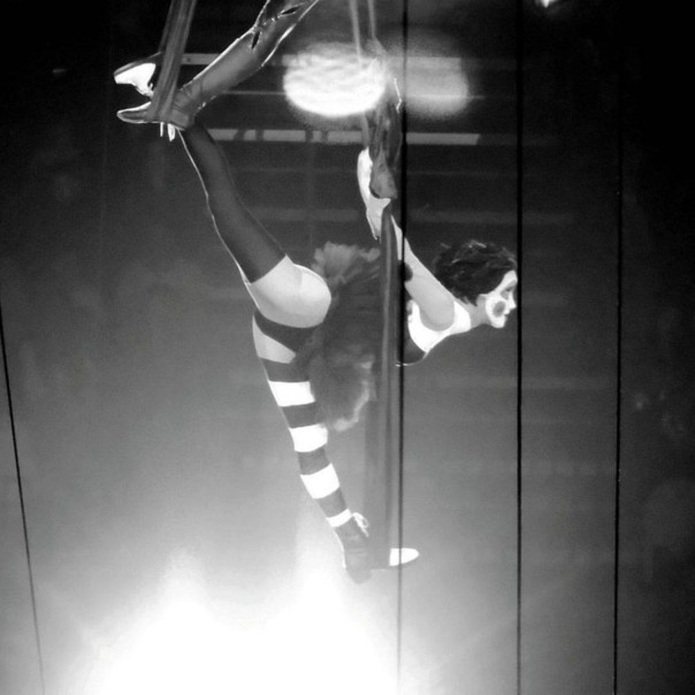 Цирк-это тоже искусство.