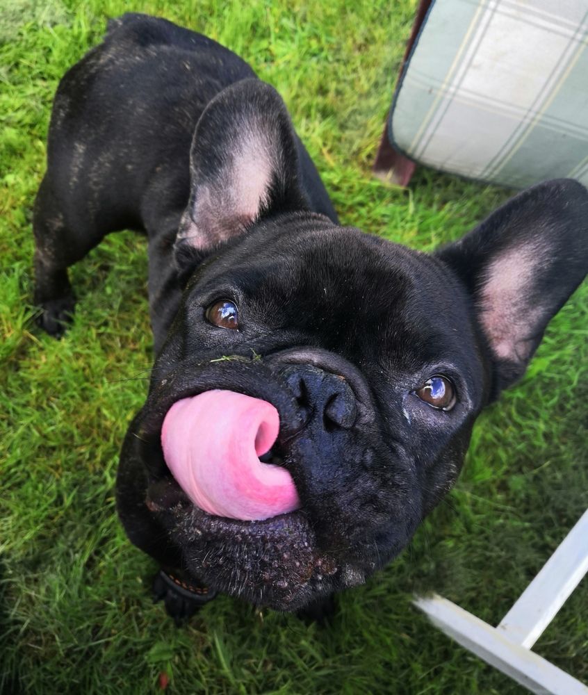 Photograph by Ольга Голованова