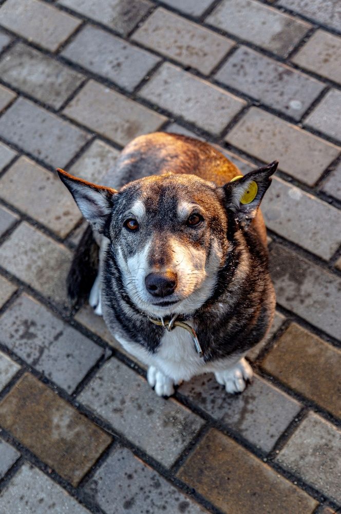 Photograph by Роман Крупченко