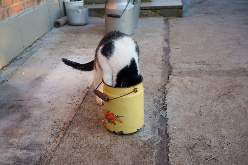 Photograph by Олег