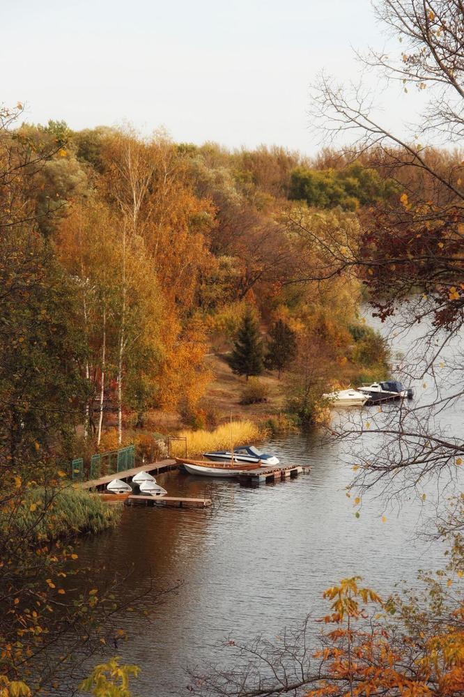 Фотография автора Елена Доянова