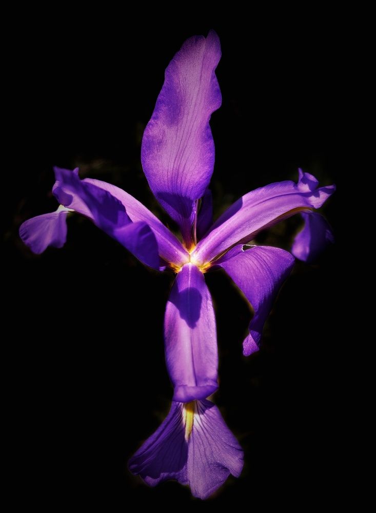 Photograph by Анна Матецкая