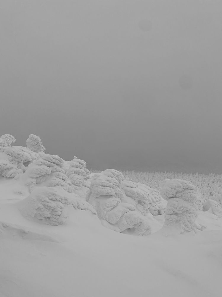 Photograph by Евгения