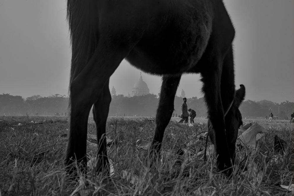 Photograph by DEBRAJ PURKAYASTHA