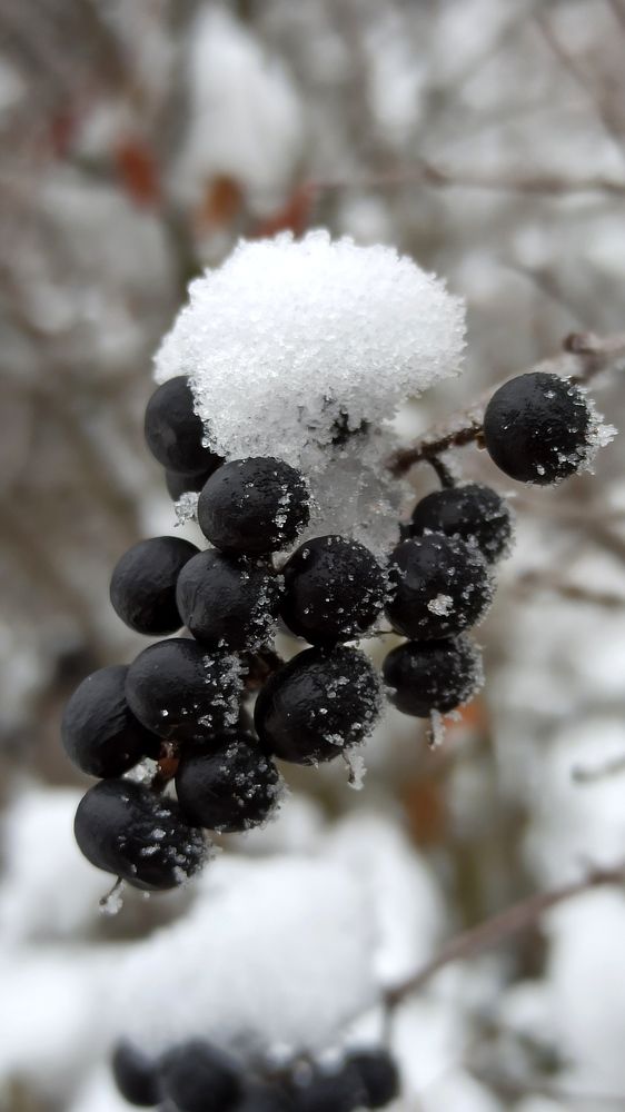 Photograph by Людмила Щуцкая