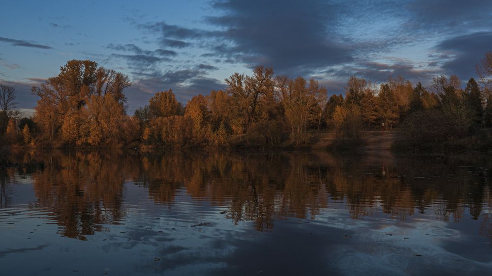 Photograph by Светлана Андреева