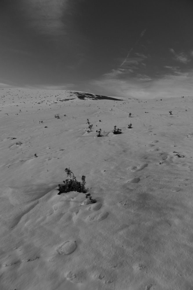 Photograph by Евгения