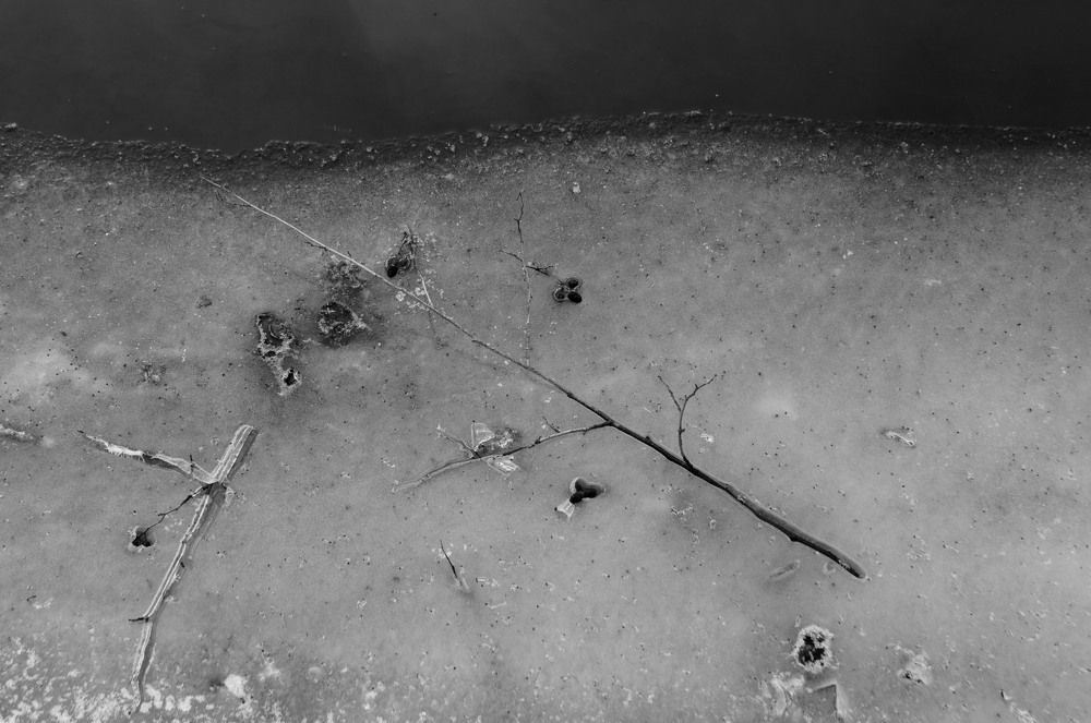 Photograph by Евгения