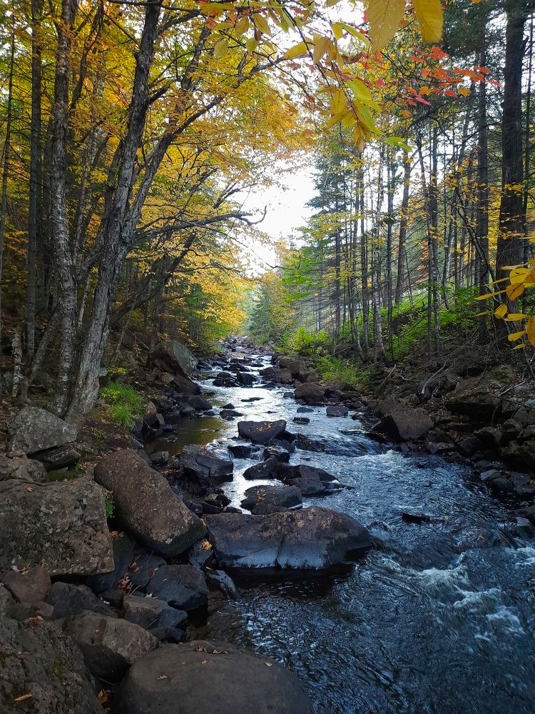 Photograph by Natalia Rassokhina