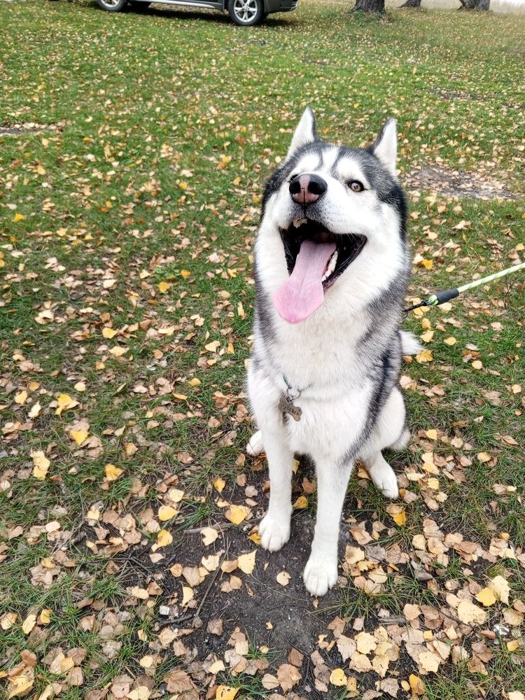 Photograph by Арина