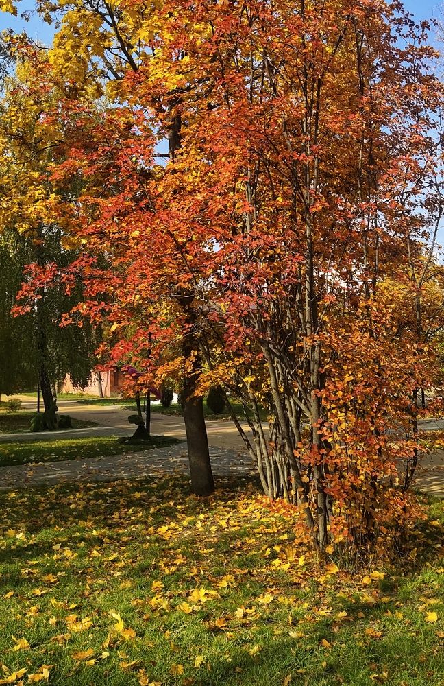 Photograph by Юлиана Курпякова