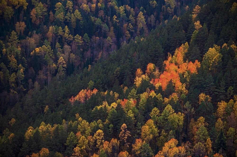 Photograph by Светлана Андреева