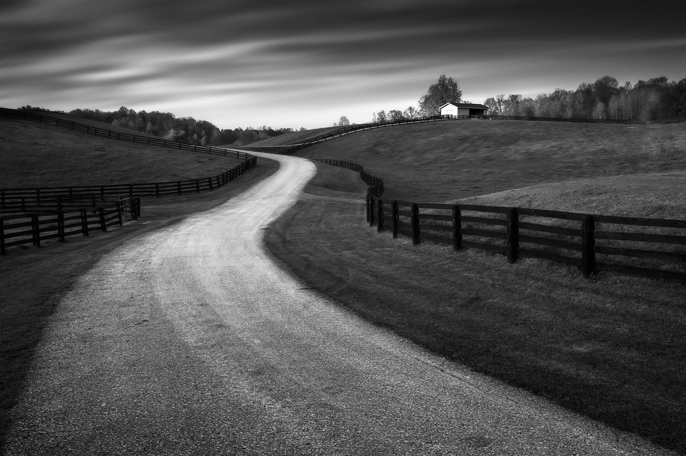 Photograph by Zhenhuan Zhou