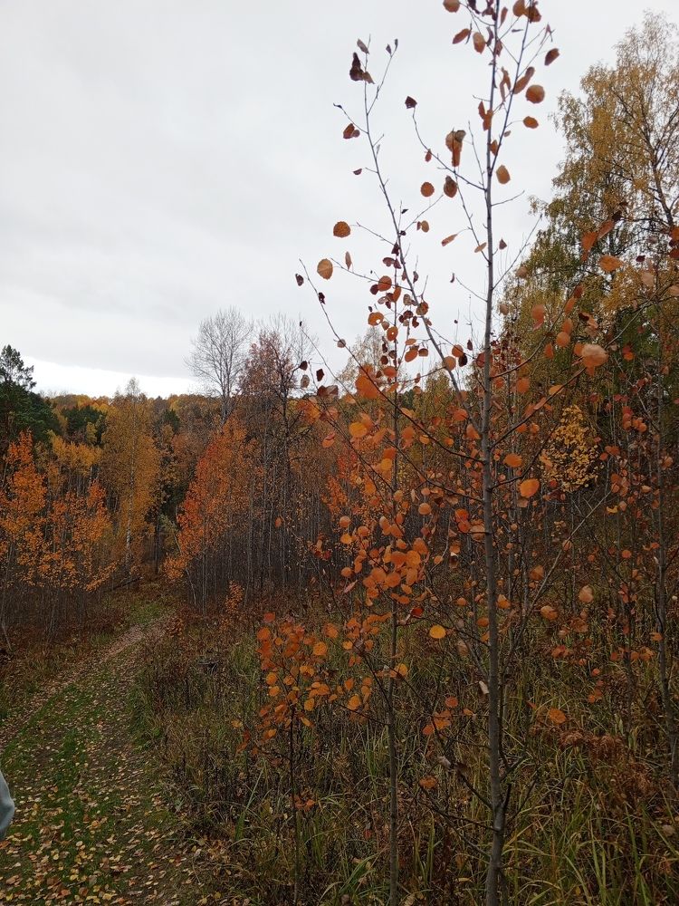 Photograph by Арина