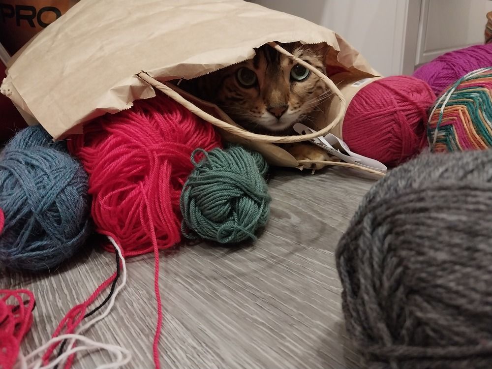 Photograph by Юлия Фирман