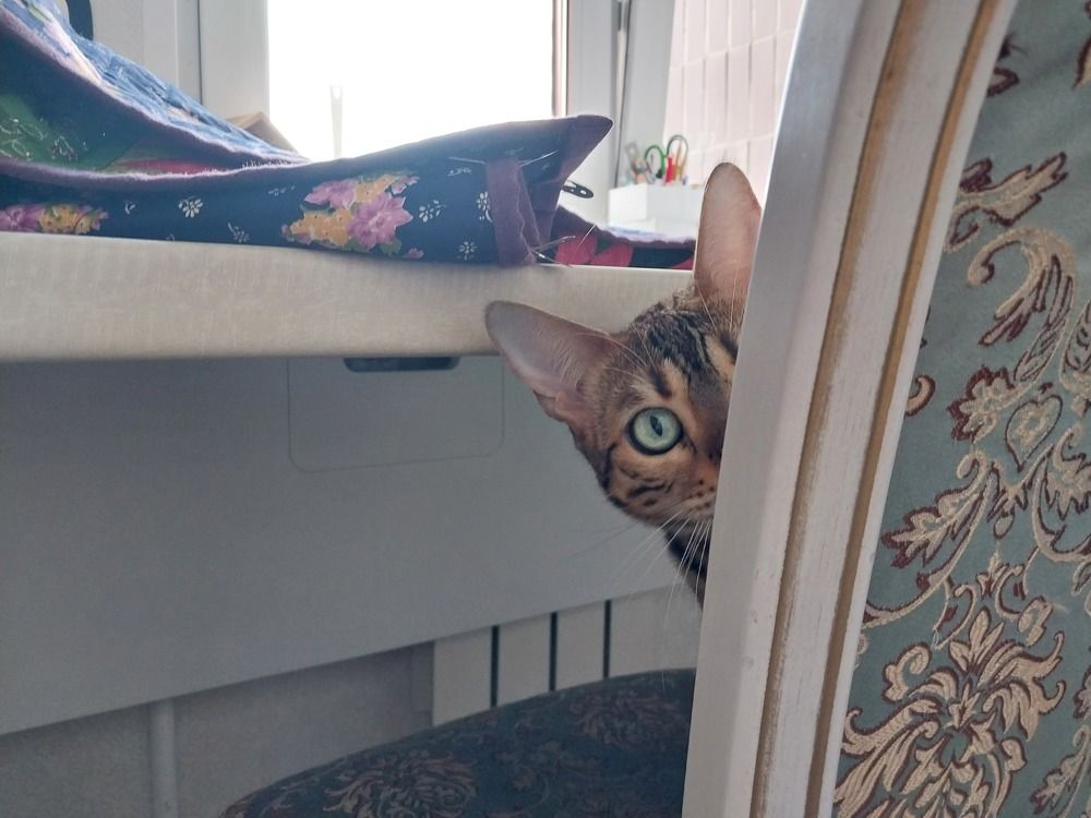 Photograph by Юлия Фирман