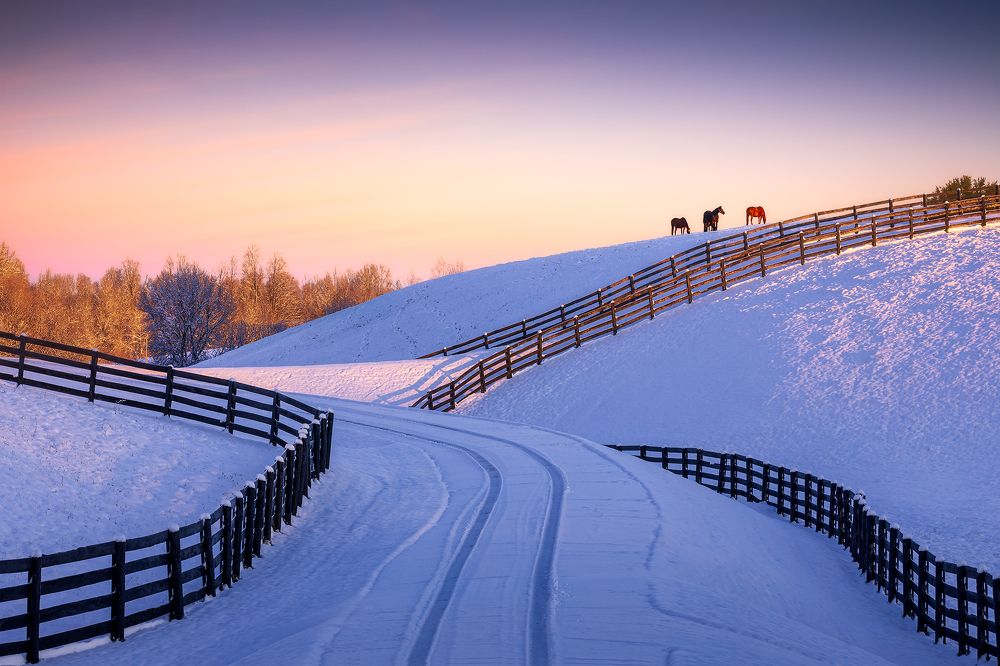 Photograph by Zhenhuan Zhou