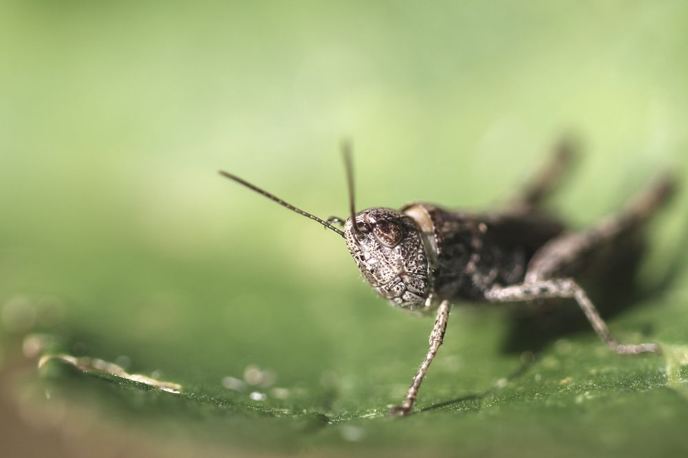 Photograph by Александр Затямин