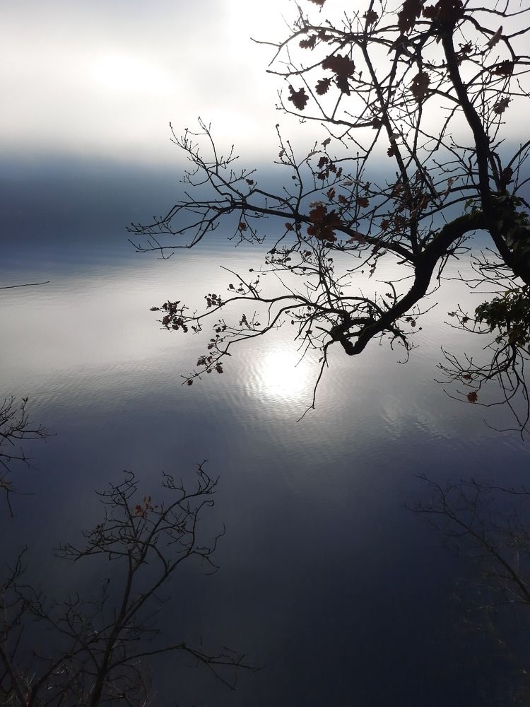 Photograph by Sonia Crotta